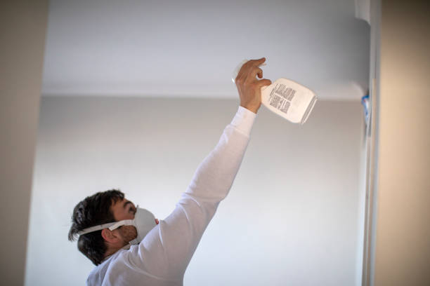 Best Toxic Mold Removal  in Punta Rassa, FL