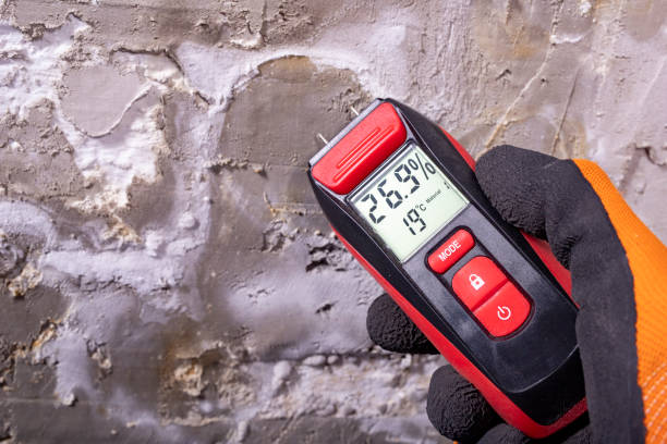 Best Black Mold Removal  in Punta Rassa, FL