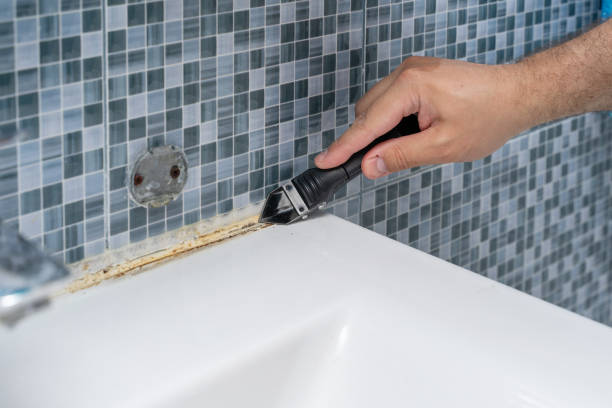 Best Fast Mold Removal  in Punta Rassa, FL